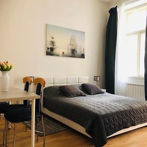 Appartement met een Slaapkamer